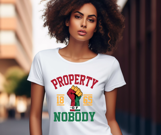 Property of Nobody Since 1865" Tee